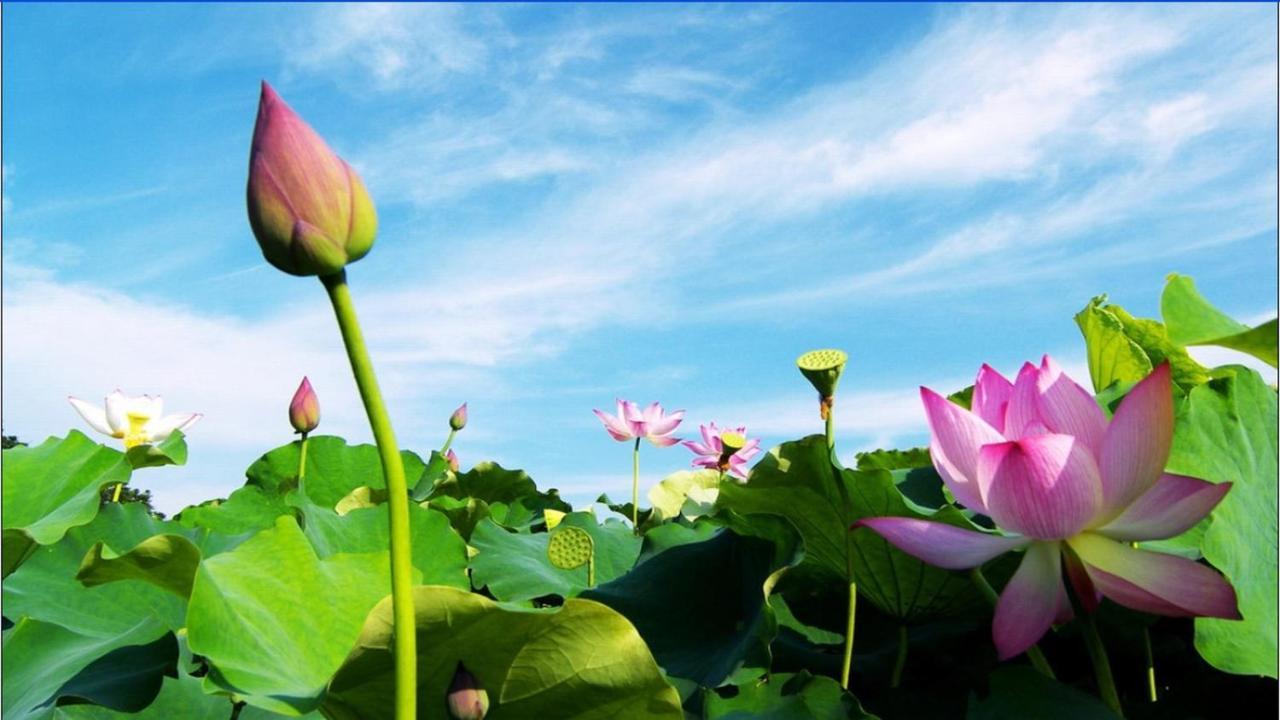 Trang An Retreat Ninh Binh