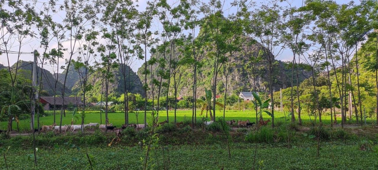 Lodge Trang An Retreat *